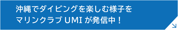 沖縄でダイビングを楽しむ様子をマリンクラブUMIが発信中!