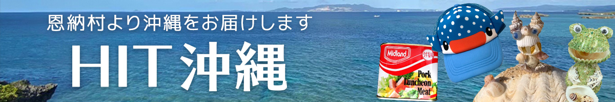 HIT沖縄 恩納村から沖縄をお届けします。